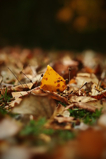 背后考量 背后考量