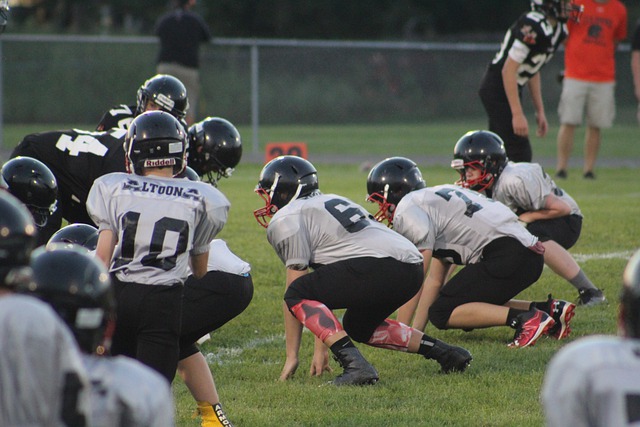 科学的训练 科学的训练