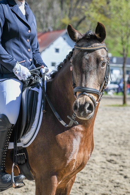 總體而言 總體而言
