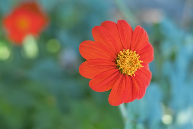 手罚裁判,公开怒怼,上海援疆怼重罚.