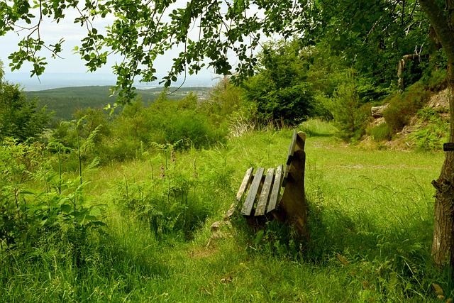 快船替补中锋尤班克斯未能满足球队轮换阵容的需求?.
