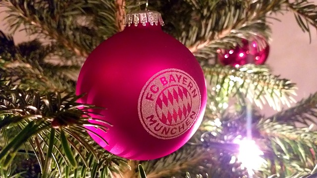 国乒乓球队 国乒乓球队