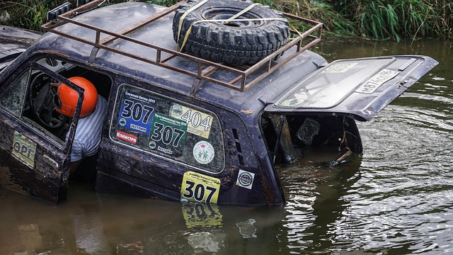 了中国乒乓 了中国乒乓