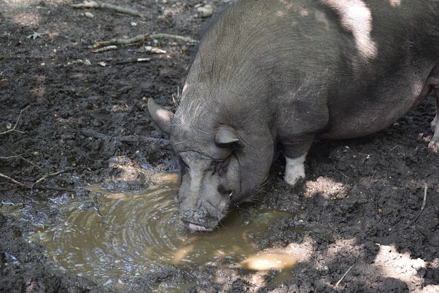 添了更多可 添了更多可
