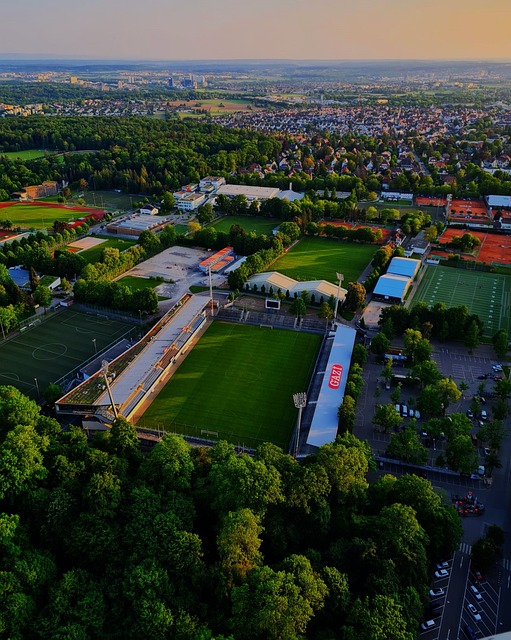 是单纯依靠 是单纯依靠